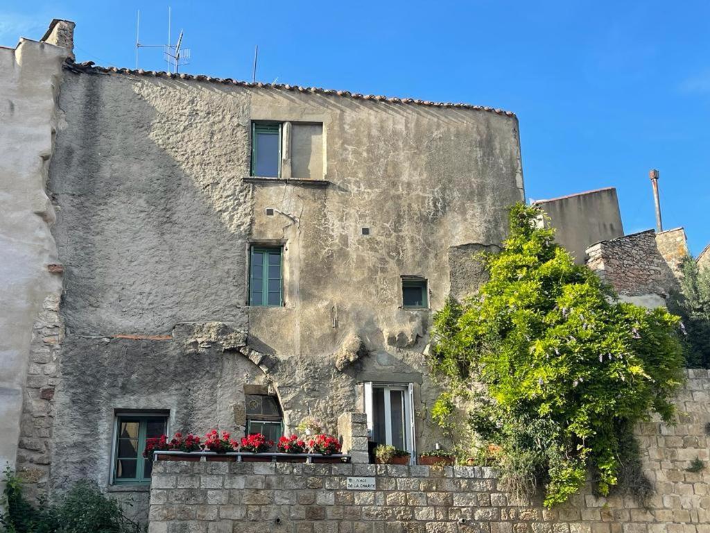Au Perchoir Apartment Caunes-Minervois Bagian luar foto