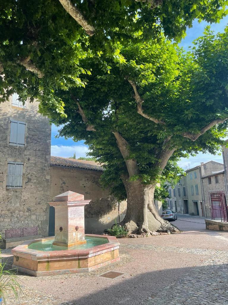 Au Perchoir Apartment Caunes-Minervois Bagian luar foto